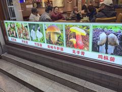 -菌之家·专业纯野生菌火锅·特色炒菌