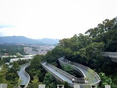 -福道
