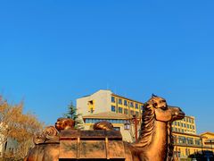 -华夏文旅海洋公园