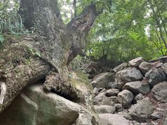 -陕西省红河谷森林公园