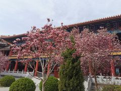 -盛世南宫影视城(北普陀影视城)