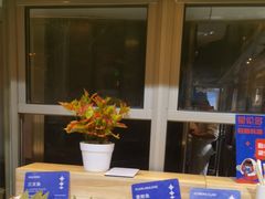 -星伦多自助料理(爱琴海店)
