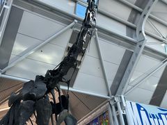 -奥黑尔国际机场