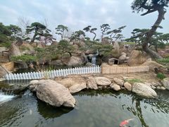 -罗红摄影艺术馆