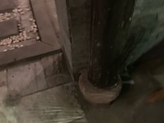 -星巴克臻选(成都宽窄巷子店)