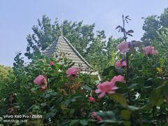 -上海鲜花港