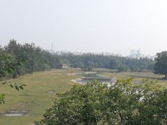 -北京麋鹿生态实验中心