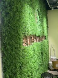 -变美丽半永久纹眉连锁·机器野生眉•洗眉