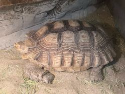 -Zoolung Zoolung动物主题公园(海信广场店)