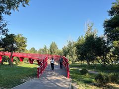 -阿尔丁植物园