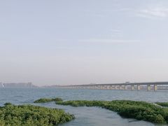 -龙舟池