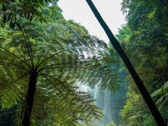 -赤水丹霞旅游区·大瀑布