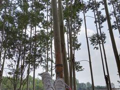 -三岔湖景区