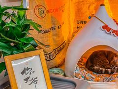 -叁秋咖啡 SANQIU COFFEE(天津河北路店)