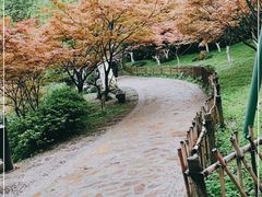 -岳麓山风景名胜区