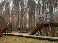 -黄海国家森林公园