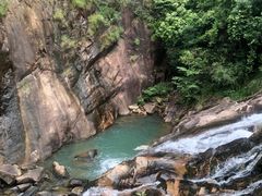 -广州白江湖森林公园