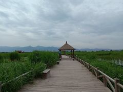 -哈素海
