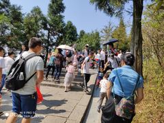 -南岳衡山风景名胜区