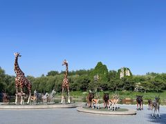 -北京野生动物园