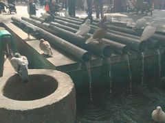 -知味观(湖滨店)