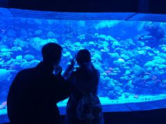 -太平洋海底世界