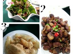 糍粑，折耳根，文革蚕-老幺泉水鸡