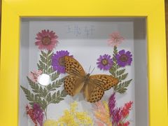 -上海大自然野生昆虫馆(东方明珠·爬宠昆虫探索中心)