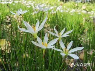 呆里面打发一天很是惬意