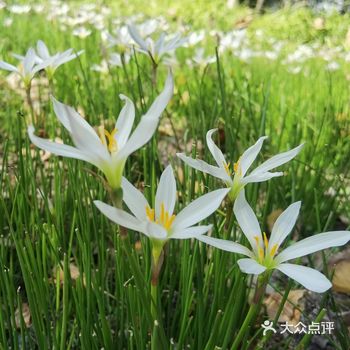 呆里面打发一天很是惬意