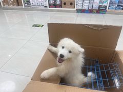 -美联众合动物医院·24h京西诊疗中心