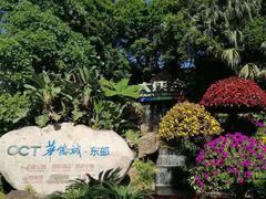-东部华侨城