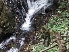 -莫里热带雨林景区