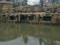 -吉林市朱雀山国家森林公园