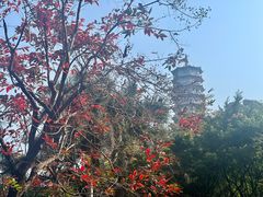 -深圳国际园林花卉博览园