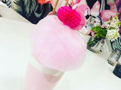 樱花拿铁-随心小姐