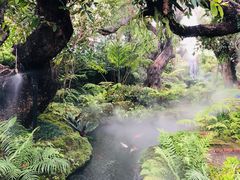 -Chom Cafe and Restaurant