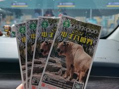 -秦皇岛野生动物园