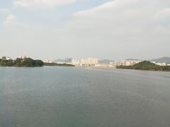 -立新湖公园
