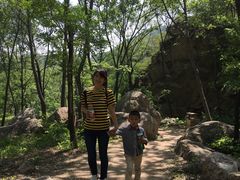 -大岭沟猕猴桃谷风景区