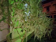 -国御温泉度假小镇