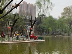 -西安市长乐公园