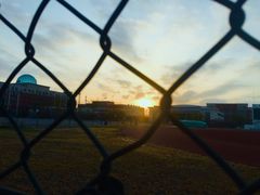 -南开大学滨海学院