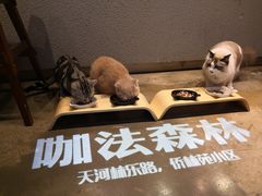 大堂-咖法森林·咖啡  酒吧(天河店)