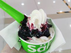 -Salud撒露欧洲冻酸奶(五道口购物中心店)