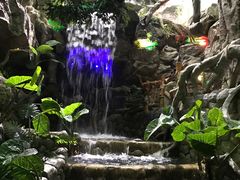 -多彩贵州城极地海洋世界