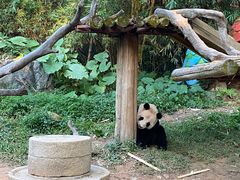 -广州长隆野生动物世界