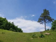 -玉泉威虎山森林公园