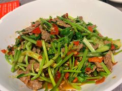 -壹盏灯(惠农店)