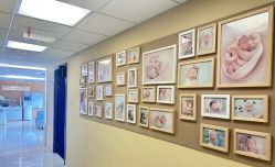 -杭州贝瑞斯美华妇儿医院·早孕·产检·儿科